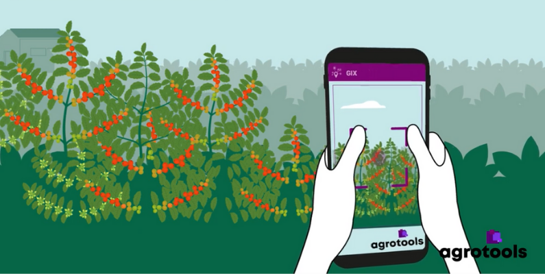 Conheça o GIX: Nosso aplicativo móvel para coleta e acesso a informações em territórios rurais