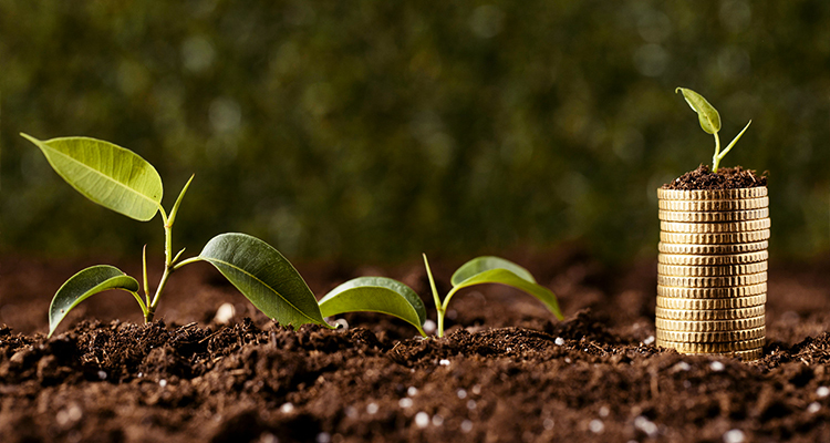 Terra com brotos de folhas verdes ao lado de moedas empilhadas com pequeno broto em cima, remetendo ao financiamento rural.