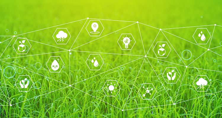 Um campo verde com ícones que representam as análises e inteligência de dados.